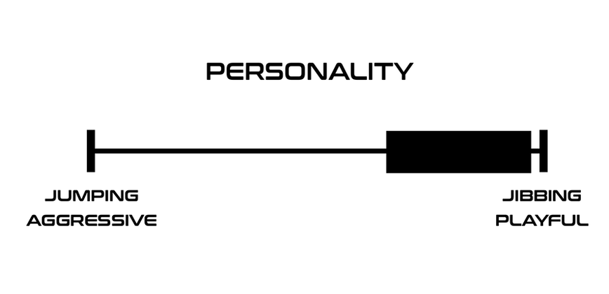 ELECTRON PERSONALITY