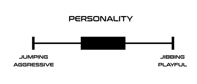 NEUTRINO PERSONALITY